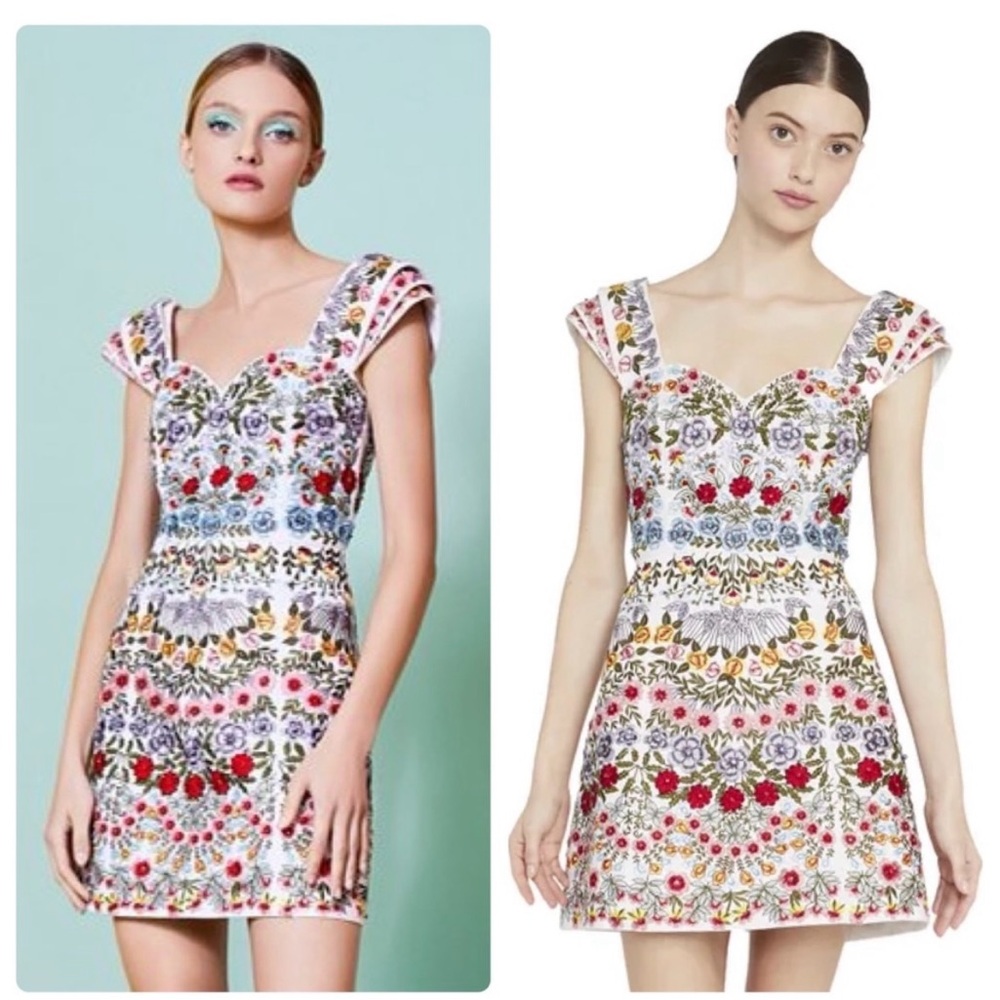 Roz Floral Embroidered Cap Sleeve Dress
